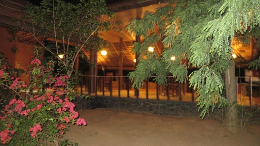 טנגלה Turtles View Resort מראה חיצוני תמונה