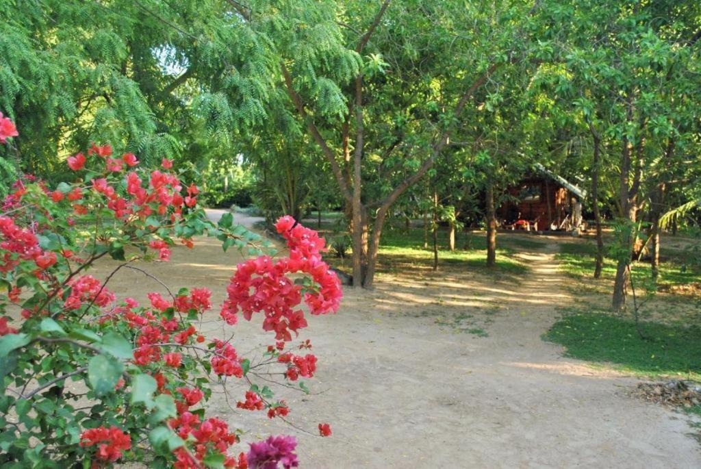 טנגלה Turtles View Resort מראה חיצוני תמונה