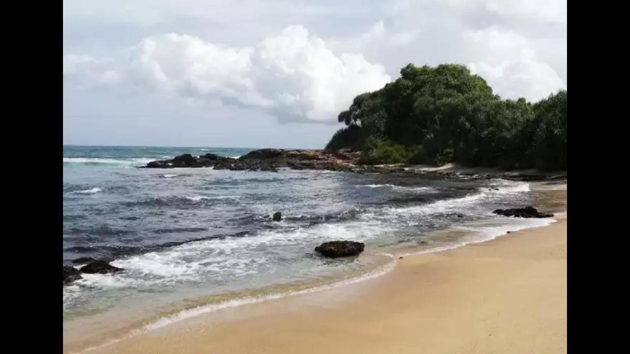 טנגלה Turtles View Resort מראה חיצוני תמונה